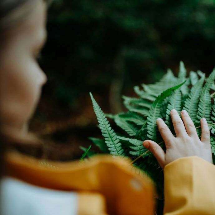 Nature's Play